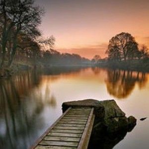 Meet your Posher, Samuel